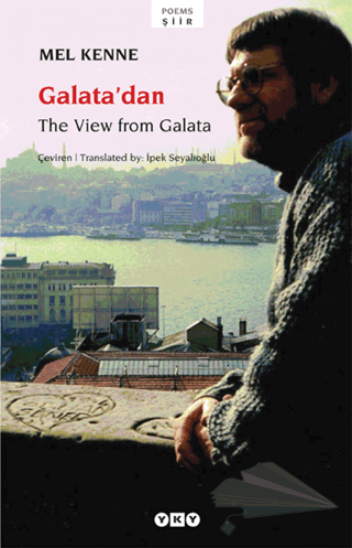 The View from Galata